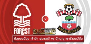 forest-south-premier